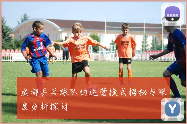 成都乒乓球队的运营模式揭秘与深度分析探讨