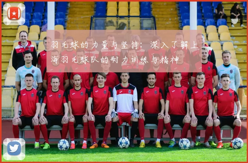 羽毛球的力量与坚持：深入了解上海羽毛球队的耐力训练与精神