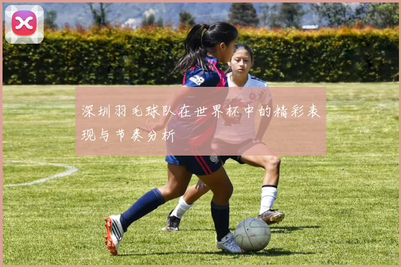 深圳羽毛球队在世界杯中的精彩表现与节奏分析