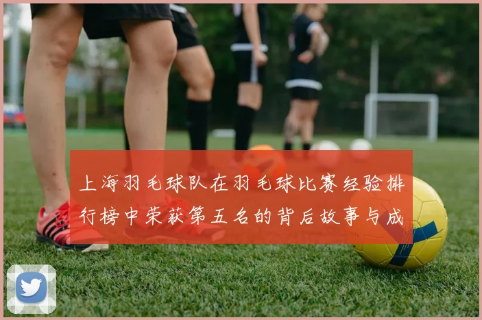 上海羽毛球队在羽毛球比赛经验排行榜中荣获第五名的背后故事与成就分析