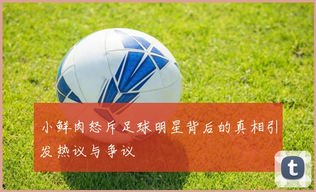 小鲜肉怒斥足球明星背后的真相引发热议与争议