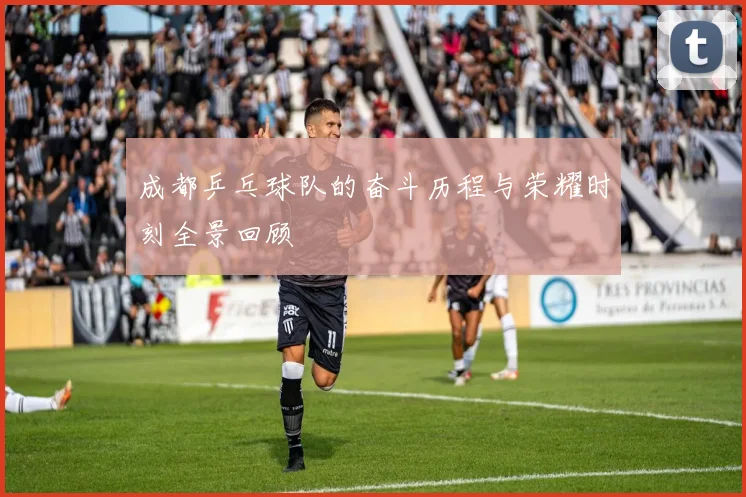 成都乒乓球队的奋斗历程与荣耀时刻全景回顾