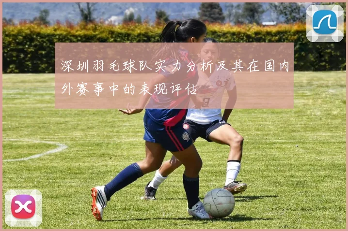 深圳羽毛球队实力分析及其在国内外赛事中的表现评估