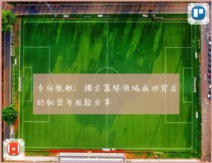 专访张敏：揭示篮球领域成功背后的秘密与经验分享