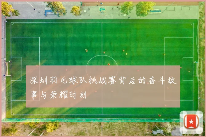 深圳羽毛球队挑战赛背后的奋斗故事与荣耀时刻