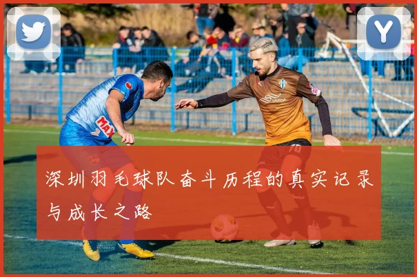 深圳羽毛球队奋斗历程的真实记录与成长之路
