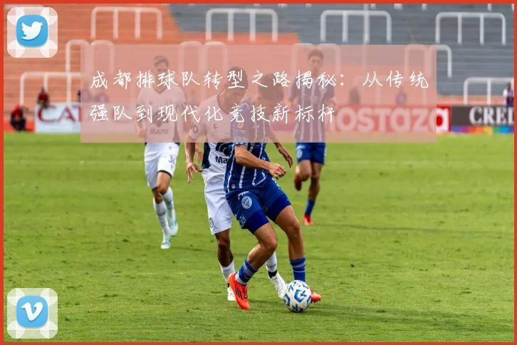 成都排球队转型之路揭秘：从传统强队到现代化竞技新标杆