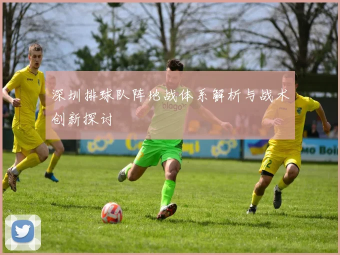 深圳排球队阵地战体系解析与战术创新探讨