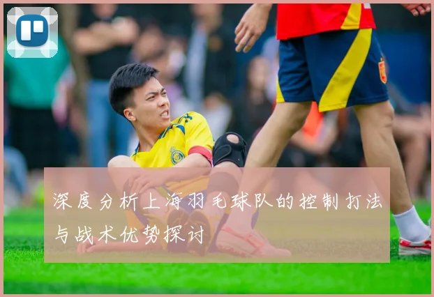 深度分析上海羽毛球队的控制打法与战术优势探讨